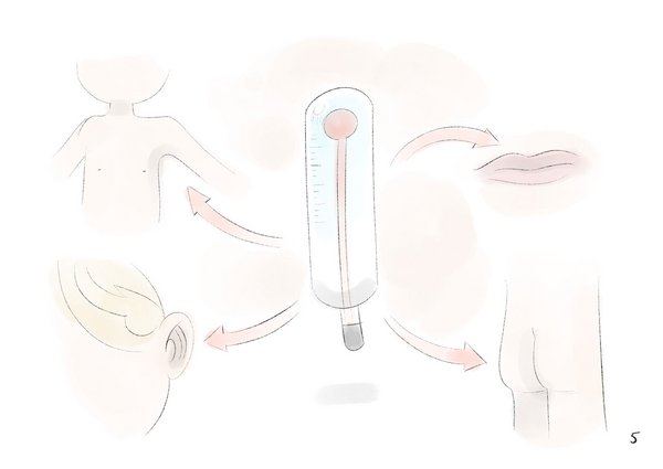 Die Zeichnung zeigt Körperstellen an denen man Fieber messen kann