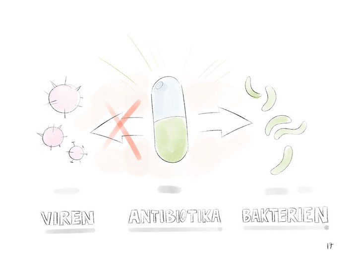 Die Zeichnung zeigt die beeintrechtigende Wirkung von Antibiotika auf Bakterien unf Viren