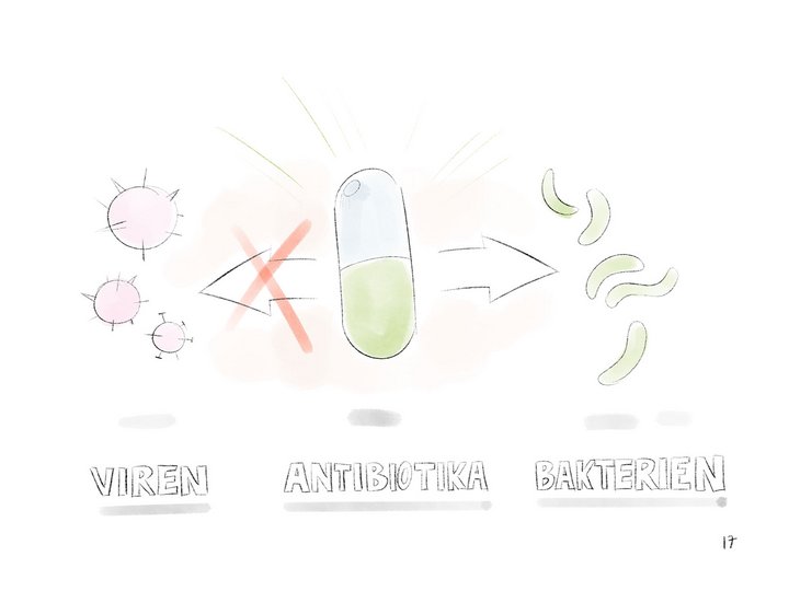 Wirkung von Fieber auf Bakterien und Viren Die Zeichnung zeigt die beeintrechtigende Wirkung von Antibiotika auf Bakterien unf Viren