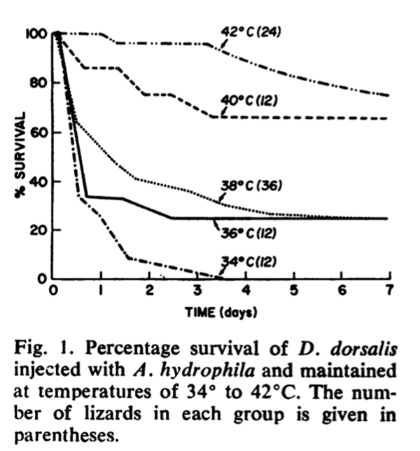 [Translate to English:] Überlebensgrafik je Temperatur